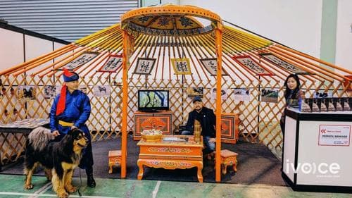 Дэлхийн аварга дээр анх удаа Монгол гэр баригдаж, Монгол соёл танилцуулагдаж байна