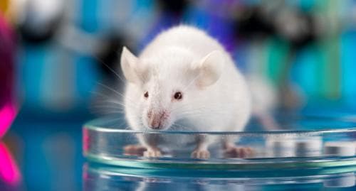 XINHUA: БНХАУ-ын Гадаад хэргийн сайдыг шинээр томилжээ