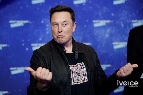 Өлсгөлөнг зогсоох оновчтой төлөвлөгөө танилцуулбал Элон Маск хөрөнгө оруулахад бэлэн