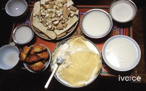 Сүүн хүчлийн бактери буюу пробиотик судлаачдын олон улсын хурал болно