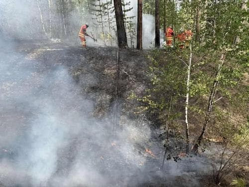 Сэлэнгэ аймгийн Хүдэр, Мандал суманд гарсан түймрийг цурамд оруулжээ