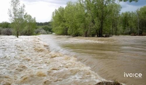 Туул, Сэлбэ, Улиастай, Дунд голоос гэдэсний савханцар илэрчээ