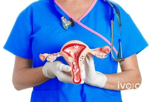 ЭМЯ: Умайн хүзүүний хавдрын шинжилгээг гурван жил тутамд үнэ төлбөргүй өгөх боломжтой