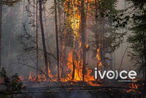 "Ой, хээрийн болоод ахуйн гал түймрийн 99 хувь нь хүний буруутай үйл ажиллагаанаас үүдэлтэй байдаг"