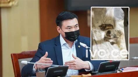 "Сургууль, цэцэрлэгийн хүүхэд төдийгүй нийт иргэдийн хүнсэнд энэ мах нийлүүлэгдсэн эсэхийг бид шалгаж байгаа"