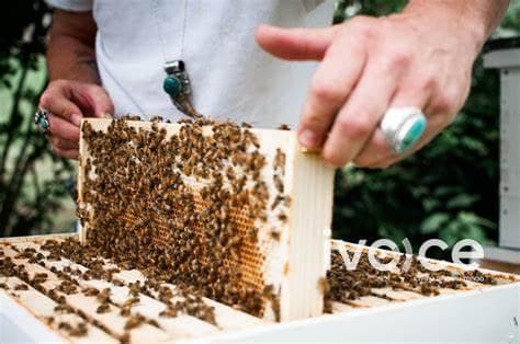 Ирэх сарын 8-ныг хүртэл орон даяар ЗӨГИЙН ТООЛЛОГО хийнэ