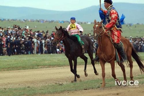 СЭРЭМЖЛҮҮЛЭГ: Мориноос унаж, бэртсэний улмаас 23 хүүхэд нас баржээ