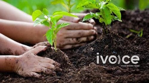 Хаврын мод тарих өдрүүд тавдугаар сарын 19-нийг хүртэл үргэлжилнэ