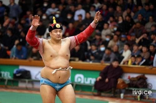 Улсын аварга П.Бүрэнтөгс Ховд аймгийн арслан Г.Ганхуягт өвдөг шороодлоо