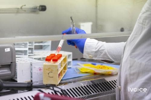 Ц.Билэгтсайхан: Коронавирусийн шинээр бүртгэгдсэн хувилбарын тархалт 40-49 насныхан дунд өндөр байна