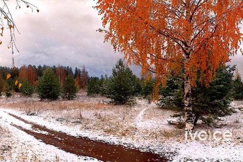 ЦАГ АГААР: Төвийн аймгуудын нутгаар хөрсөн дээр цочир хүйтэрнэ