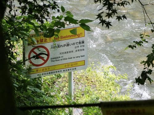 Японы Нака голын усанд 19 настай монгол залуу живж амиа алдсан талаар "NHK" мэдээлжээ