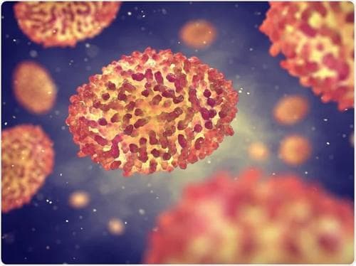 BBC: Сармагчны цэцэг өвчний нэрийг өөрчиллөө