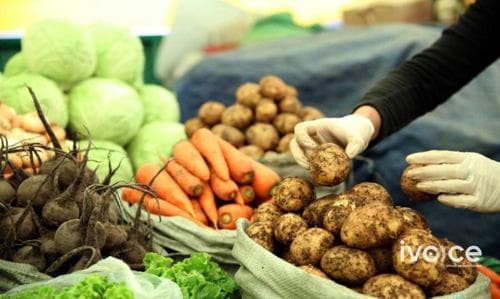 ”Намрын ногоон өдрүүд-үндэсний үйлдвэрлэл 2022”  эхэллээ