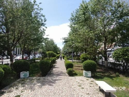 Улаанбаатарыг олон улсын жишигт нийцсэн ногоон байгууламжтай хот болгохоор зорьж байна