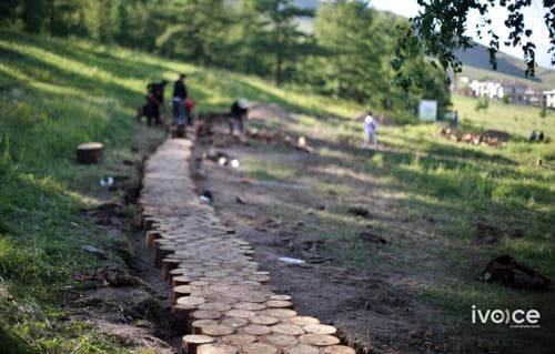 Дугуй цагаан орчмыг ойн цэвэрлэгээнээс гарсан моддыг ашиглан тохижуулж байна