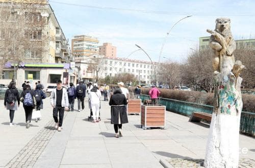 Цахим сүлжээнд тархаад буй улиасны ургалт нь зогссон тул 2017 онд тайрч, сийлбэр хийсэн