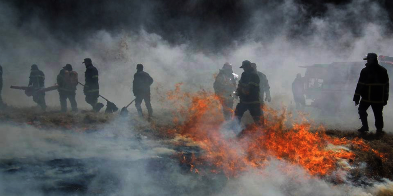 Сүхбаатар аймгийн Дарьганга суманд хээрийн түймэр гарч, БНХАУ-ын хилийг давжээ