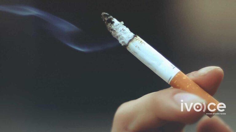 Тамхины хяналтын тухай хуульд нэмэлт оруулах тухай хуулийн төслийг буцаан татжээ