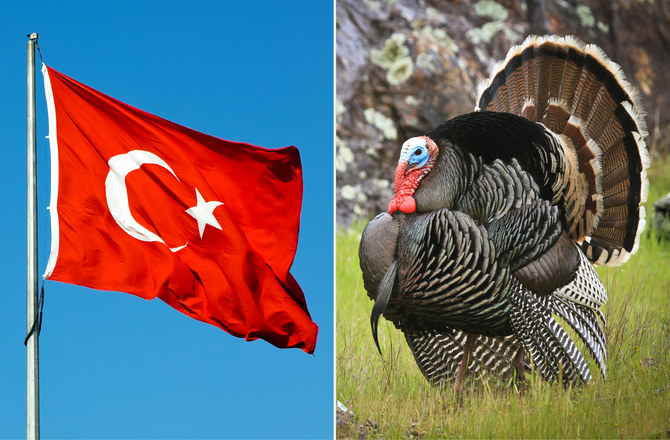 Турк улс шувуунаас болж нэрээ сольсон уу