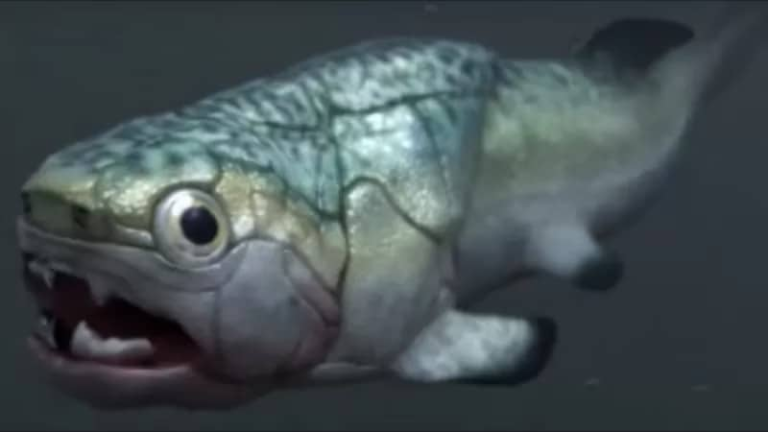 BBC: Одоогоор мэдэгдээд буй дэлхийн хамгийн эртний зүрхийг агуулж буй чулуужсан загас