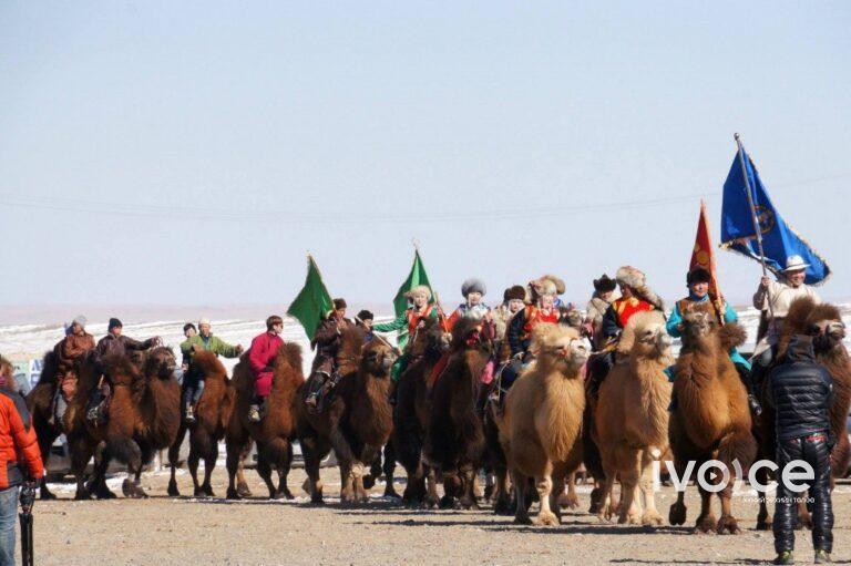 Өмнөговь аймагт “Түмэн тэмээний баяр” болно