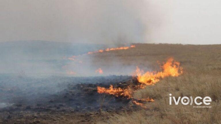 Хэнтийн Баян-Овоо, Дорнодын Матад суманд өчигдөр гарсан хээрийн түймэрт 11,300 га талбай шатжээ