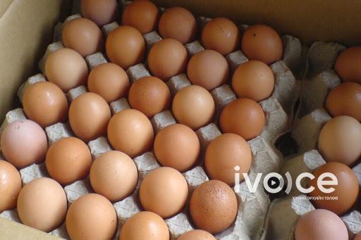 Өндөг, цагаан будааны импорт буурч гурилын нийлүүлэлт 155.9 дахин нэмэгджээ