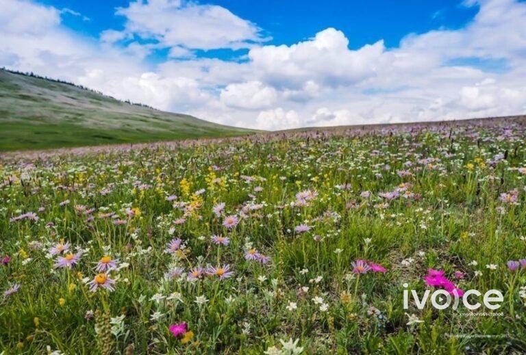 Төв болон зүүн аймгуудын нутгийн хойд хэсгээр бороо, уулаараа нойтон цас орж, ихэнх нутгаар сэрүүснэ