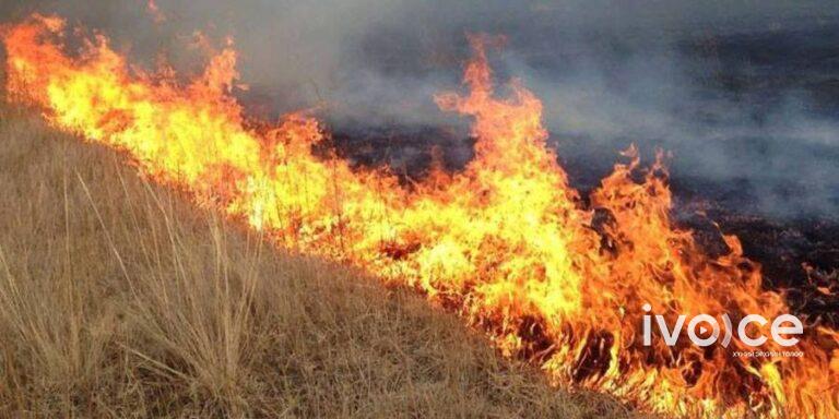 Дөрвөн аймгийн найман суманд хээрийн түймэр гарч, 42 мянга гаруй га талбай галд өртжээ