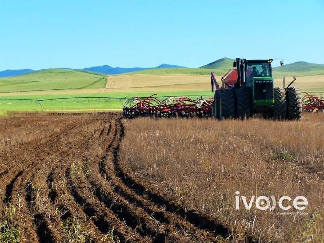 Улсын хэмжээнд 403 мянган тонн хадлан бэлтгэжээ